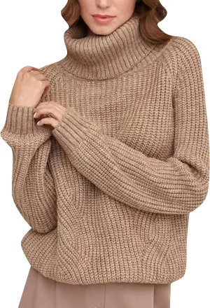 TYQQU Womens Solid Color Long Sleeve Sweater Baggy Chunky Pullover Warm Turtleneck Jumper Top